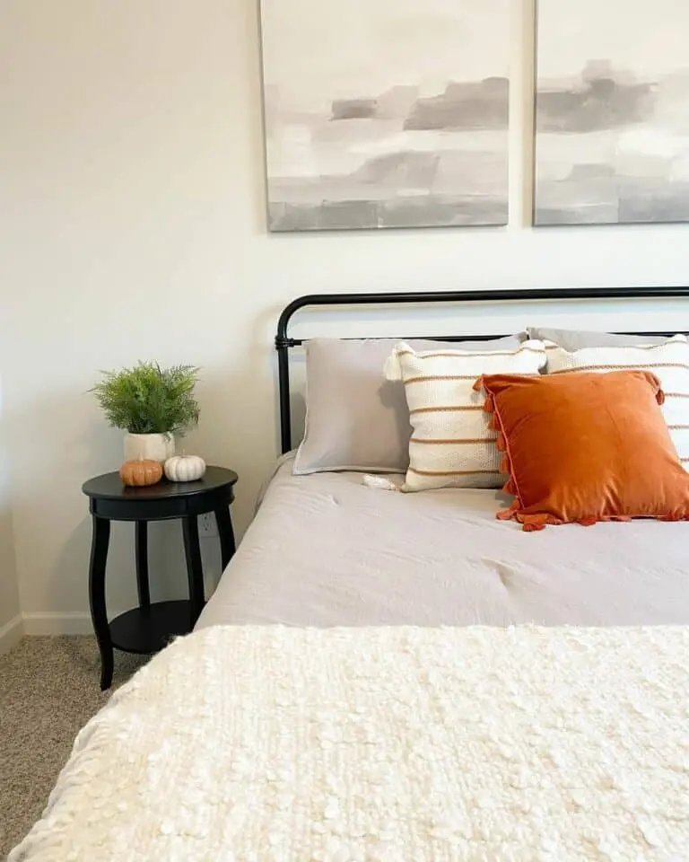 Orange accent pillows