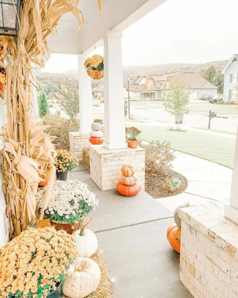 Orange porch with pumpkins