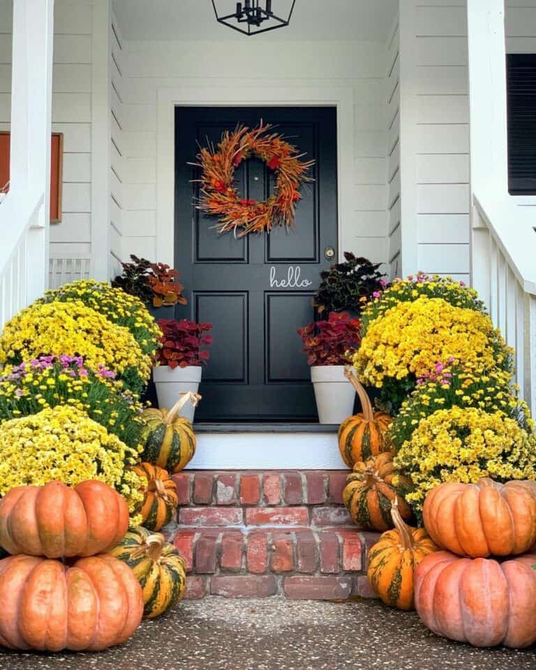 Orange Pumpkins and Mums