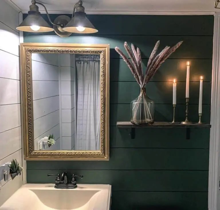 Pampas Grass and Green Shiplap Wall