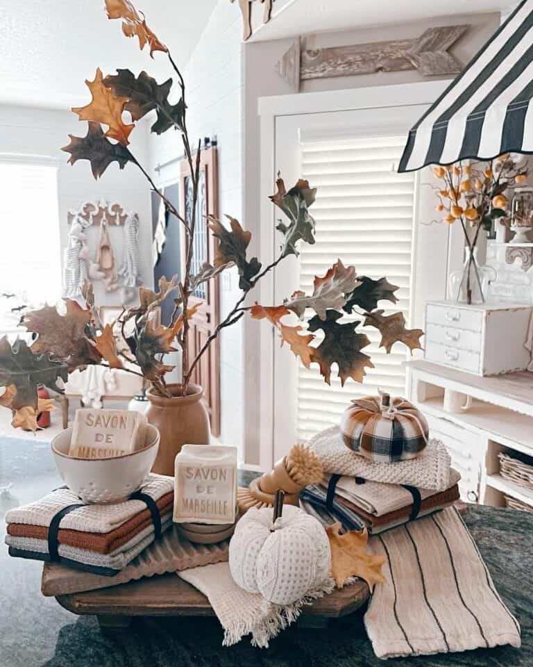 Striped awning and dishcloths