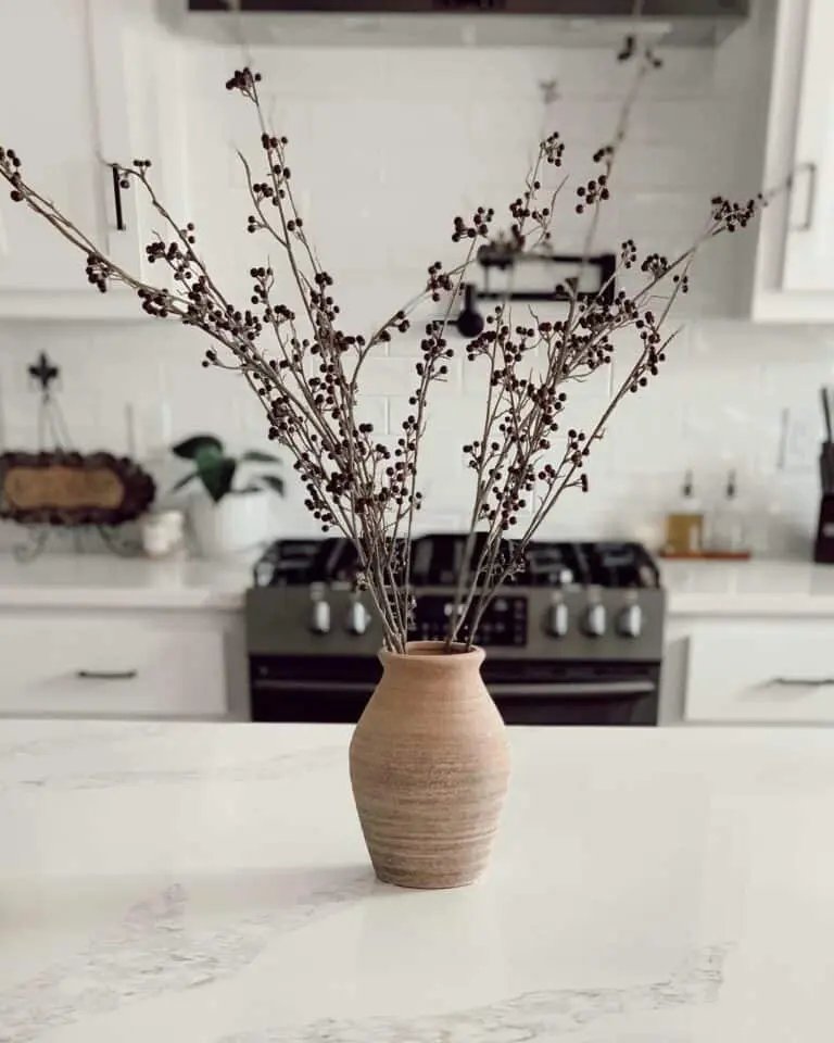 Terra-cotta vase with berry boughs