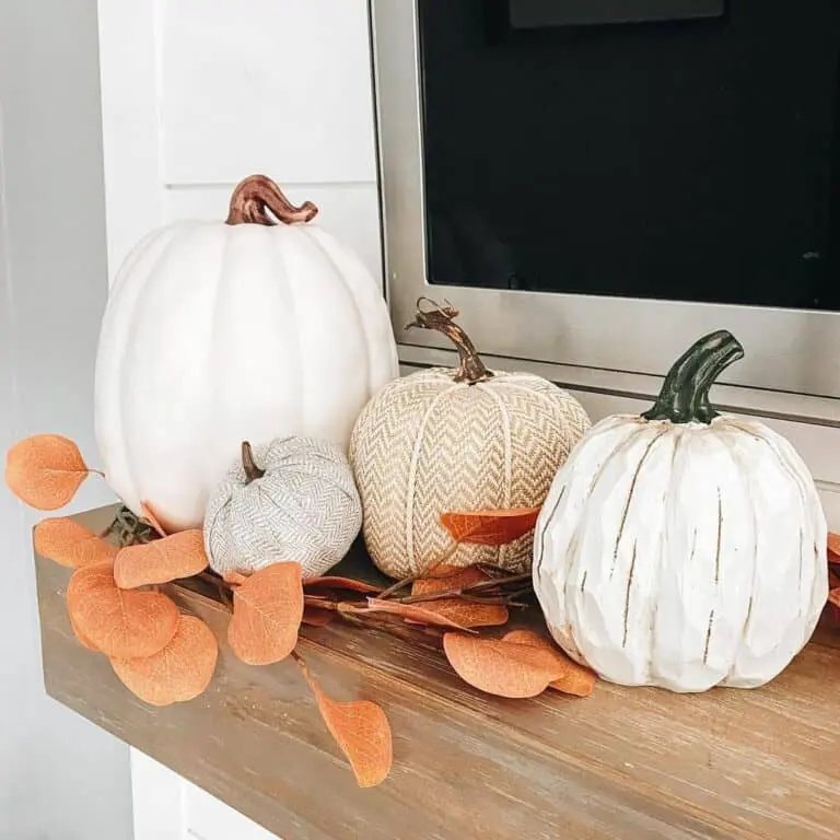 Textured pumpkin trio