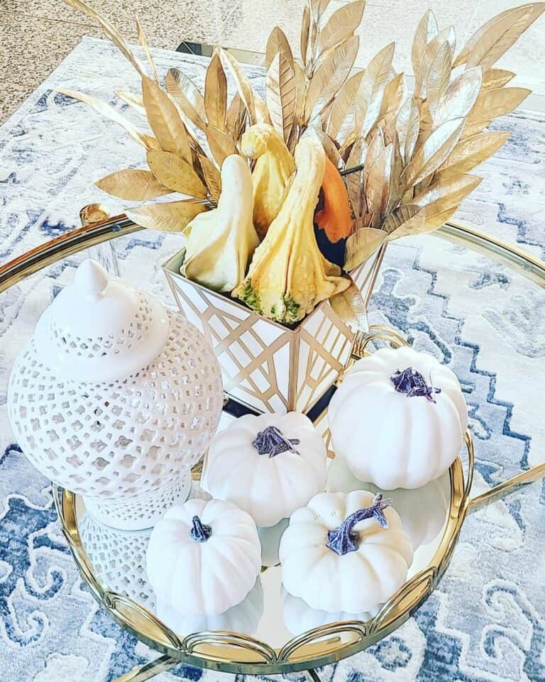 White Pumpkins and Gourds