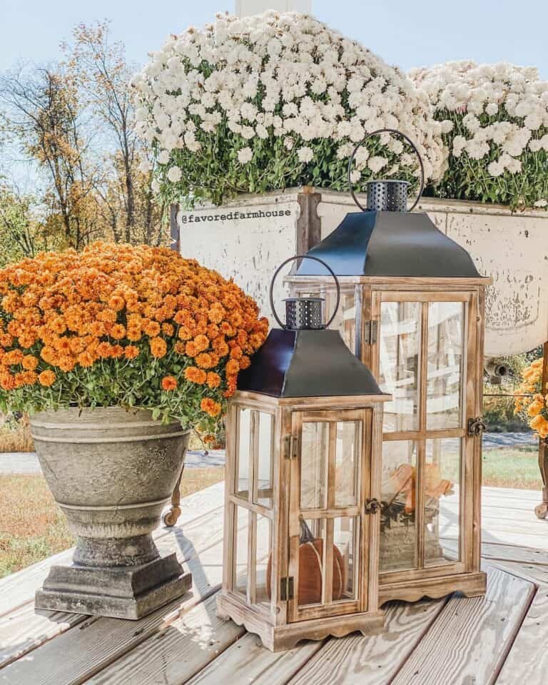 Wooden lanterns with mums