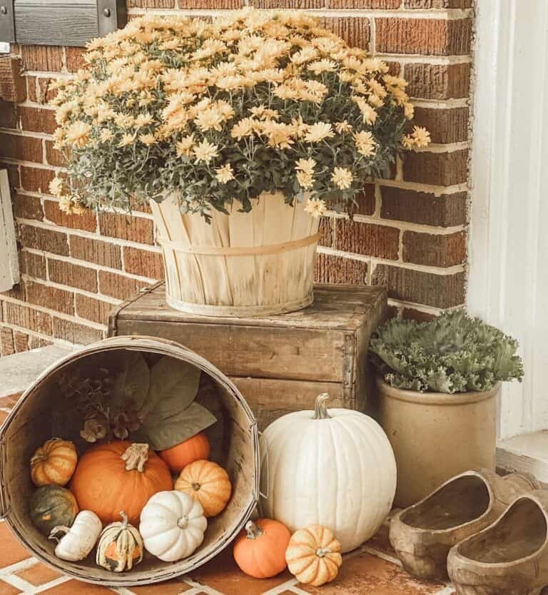 Yellow Flowers and Pumpkins