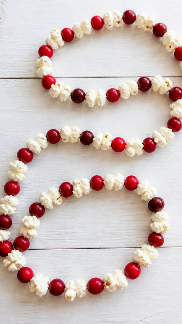 Cranberry Garland