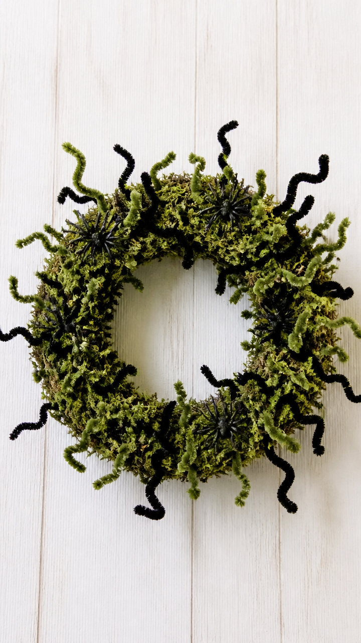 Creepy Crawly Pipe Cleaner Wreath