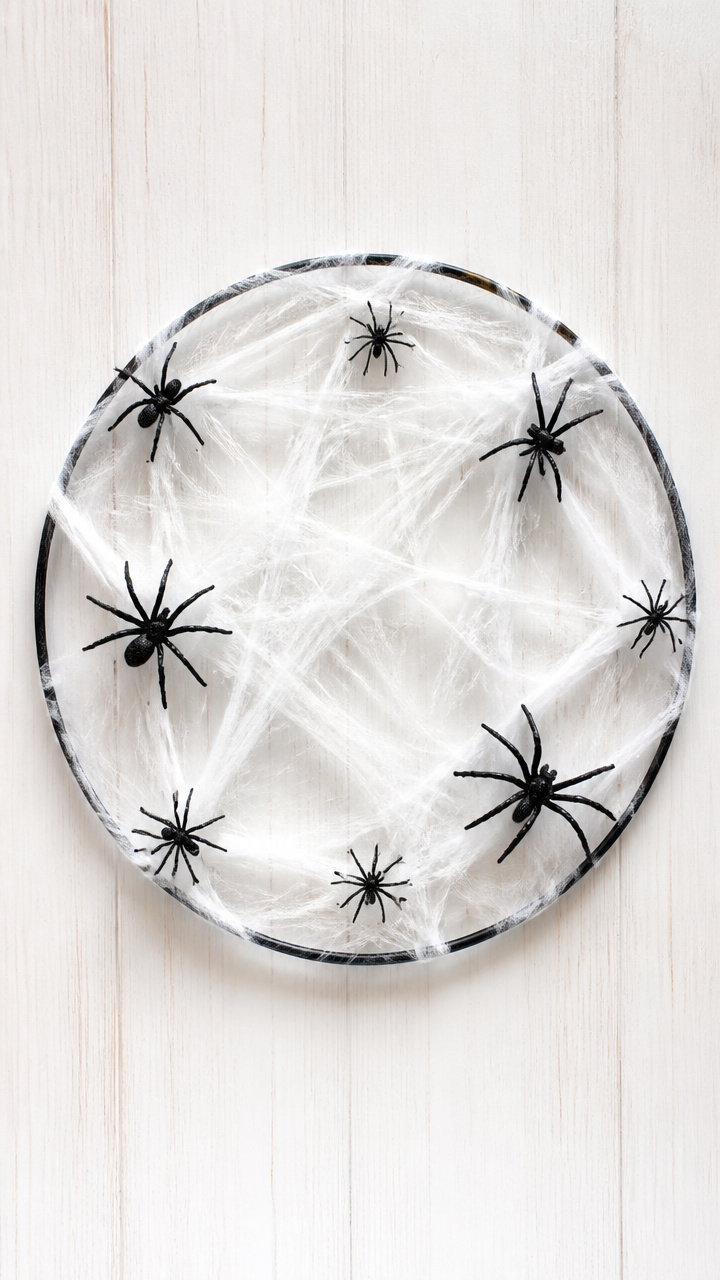 Plastic Spider Web Wreath