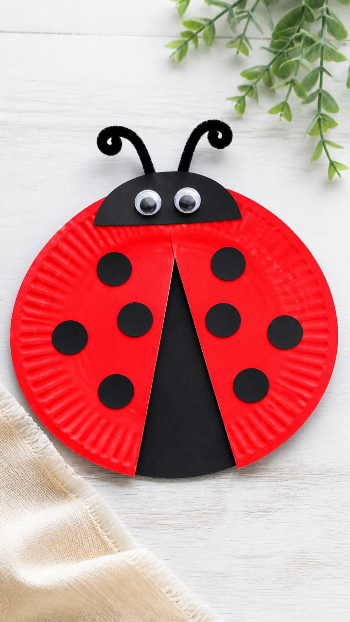 Paper Plate Ladybug